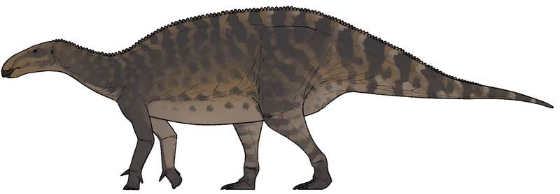 Plik:Paludohadros proudlovii.png