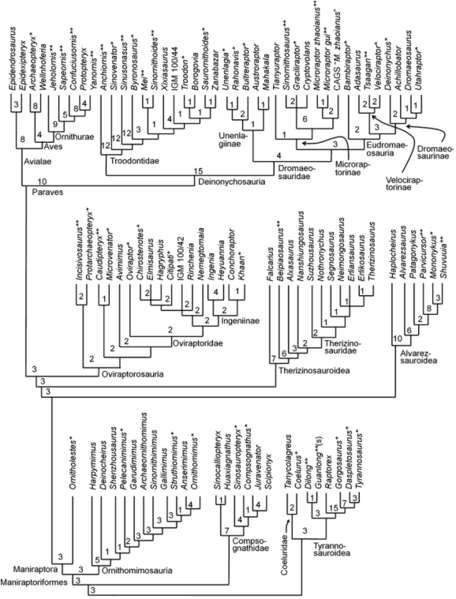 Plik:Senter 2011.PNG