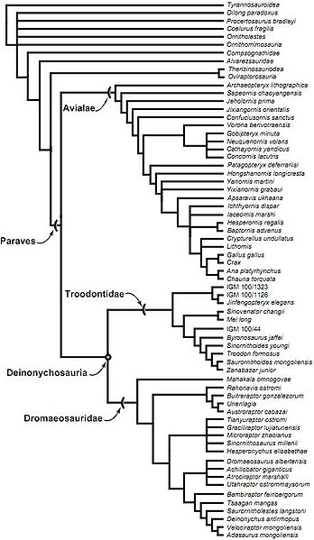 Plik:Turner i in., 2011.jpg