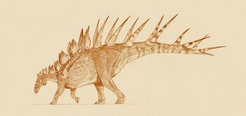 Kentrosaurus.jpg