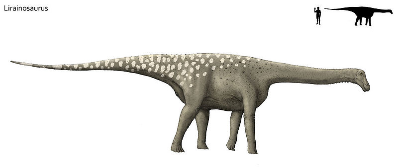 Plik:Lirainosaurus.jpg
