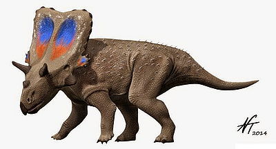 Mercuriceratops NT.jpg