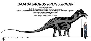 Bajadasaurus skeletal by Gunnar Bivens.jpg