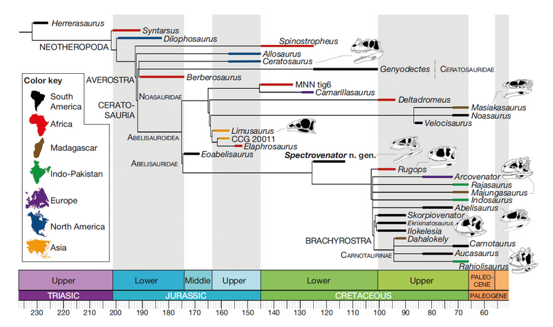 Plik:Zaher et al 2020.png