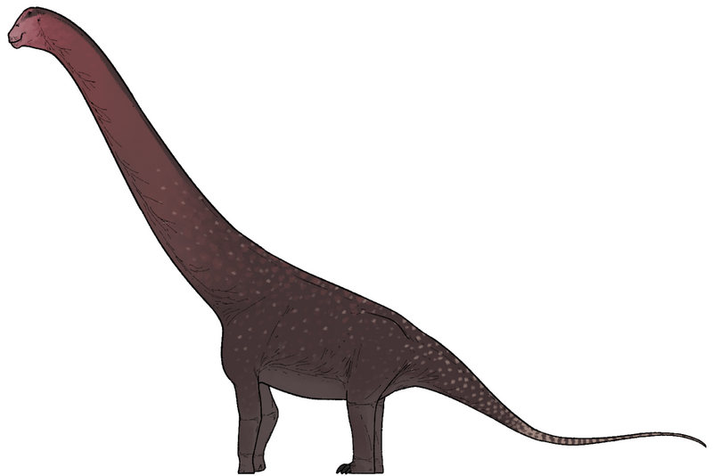 Plik:Mesetasaurus protector.png