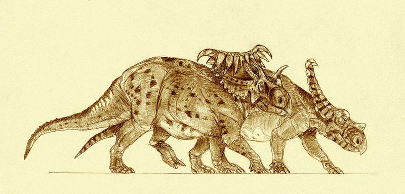 Plik:Kosmo and vaga.jpg