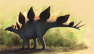 Stegosaurus Edyta Felcyn.jpg