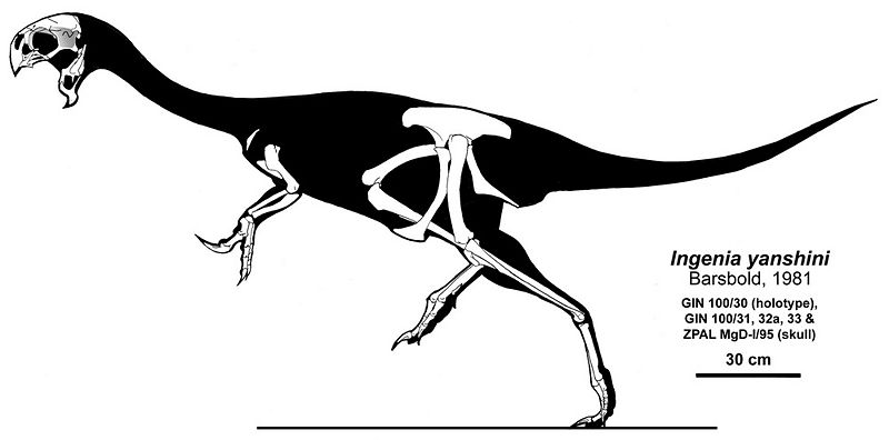 Plik:The Genius by Qilong.jpg